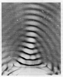 diffraction of light in water diffraction of light in water